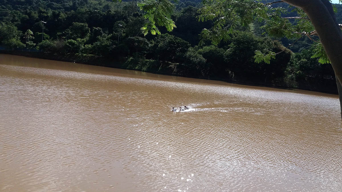 Represa Cavalinho Branco - Patos - Águas de Lindóia SP