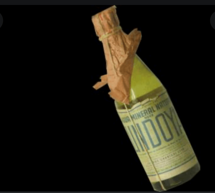 Exemplar de garrafa enviada à NASA para a Missão Apollo 11 - Águas de Lindóia SP